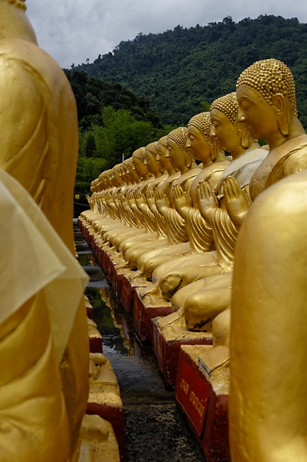 Magha Puja Buddhist Memorial-061